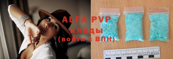 ГАЛЛЮЦИНОГЕННЫЕ ГРИБЫ Новозыбков
